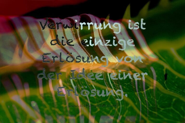 Verwirrung ist die einzige Erlösung von der Idee einer Erlösung.
