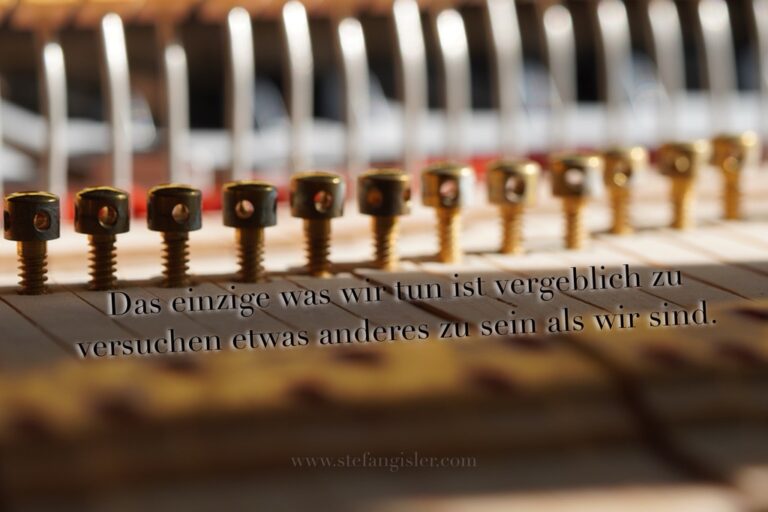 Das einzige was wir tun, ist vergeblich zu versuchen etwas anderes zu sein als wir sind.