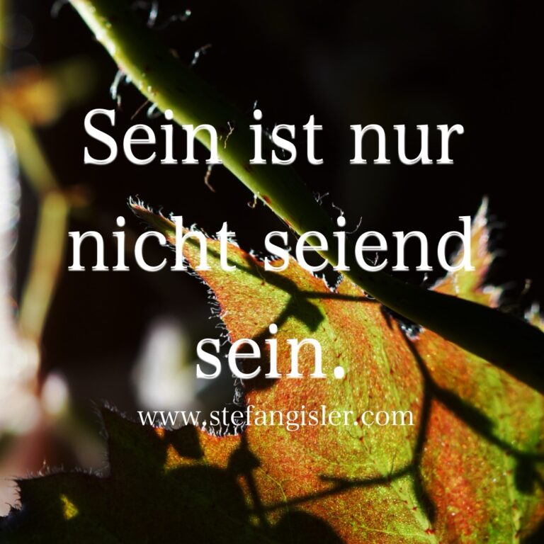 Sein ist nur nicht seiend sein.